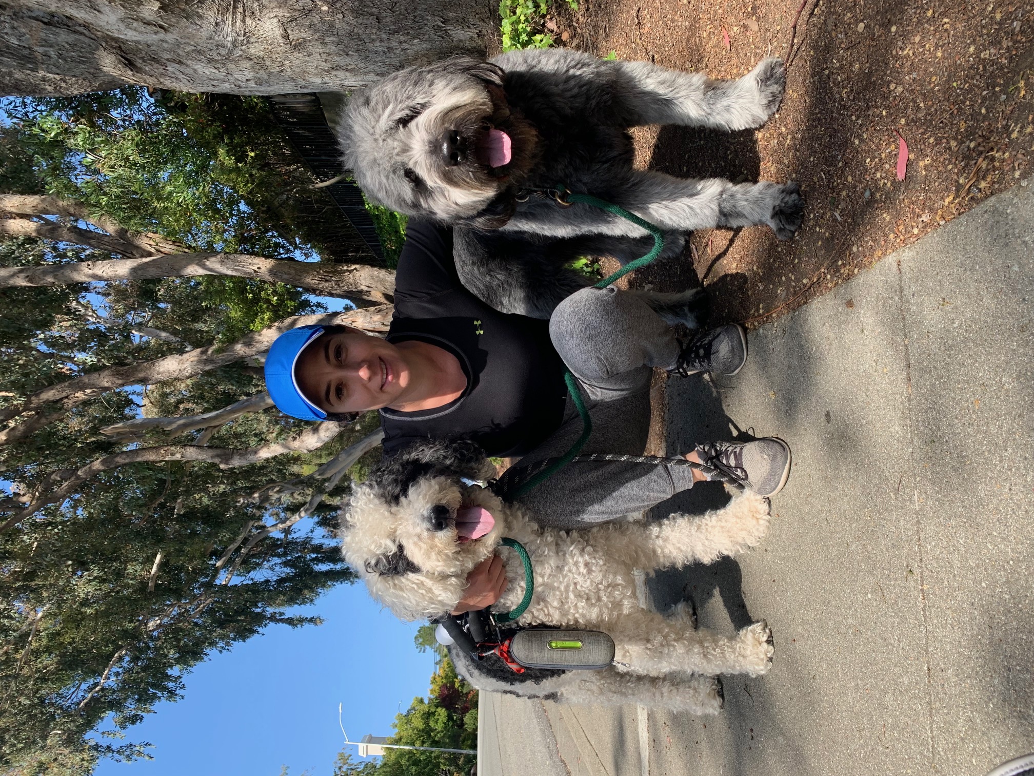 Me and Dogs